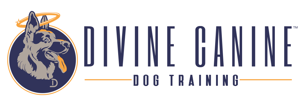 Divine Canine Dog Training